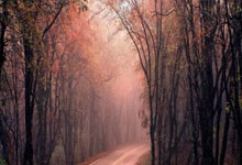 黑白官方体育:18强赛王大雷黄油手!国足0-2澳洲再遭3连败,彻底无缘小组前2名.