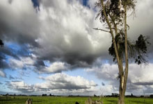 0分钟!“梅西接班人”遭曼城冷藏半年,西甲租借成唯一救赎?.